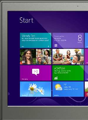 HD Display With Available IPS Technology